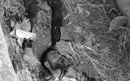 भदोही में बाइक असंतुलित होकर नाले में गिरी:दो युवकों की मौत, एक घायल औराई रेफर