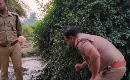 उन्नाव में ड्रोन की मदद से पकड़ी गई कच्ची शराब:300 किलो महुआ लहन मौके पर कराया गया नष्ट, कई गांव में छापा