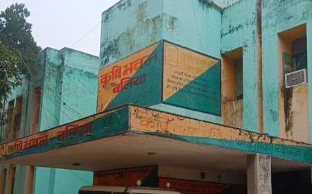 किसानों को दलहनी फसलों के बीजों पर मिलेगा अनुदान:बलिया में कृषि विभाग की अपील, उठाएं योजना का लाभ