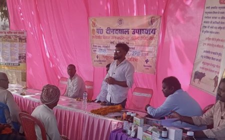 देवरिया में पंडित दीन दयाल उपाध्याय पशु आरोग्य मेला:जमुना छापर में पशु आरोग्य मेले में 388 पशुओं का निःशुल्क उपचार