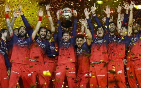 IPL ऑक्शन 16 दिसंबर को गोवा में होगा:इसी दिन भारत और श्रीलंका मैच; 15 नवंबर तक टीमें तय करेंगी किसे रखना है