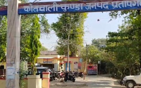 दहेज प्रताड़ना के आरोप में पति-ससुर समेत 5 पर केस:प्रतापगढ़ में विवाहिता ने शिकायत की, 5 लाख रुपए और कार मांग रहे थे