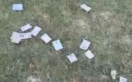 कानपुर देहात में नहर किनारे मिले 250 आधार कार्ड:चरवाहों को मिले दस्तावेज, युवक ने वोट बढ़ाने की आशंका जताई