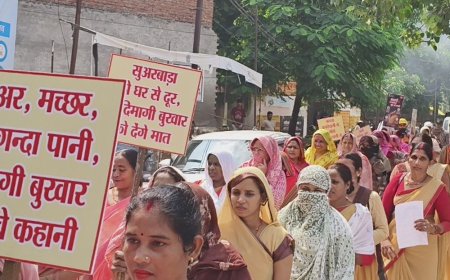 DM ने संचारी रोग नियंत्रण अभियान शुरू किया:आशा-आंगनबाड़ी कार्यकर्ता करेंगी घर-घर सर्वे, पूरे जिले में निगरानी