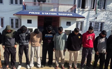 जम्मू-कश्मीर में लश्कर-TRF से जुड़े 10 सदस्य गिरफ्तार:लोगों से पैसे जुटाकर आतंकियों तक पहुंचाते थे; जेलों में बंद आतंकियों के भी संपर्क में थे