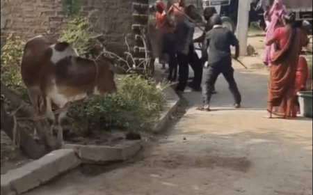 जमीन विवाद में लाठी-डंडों, फावड़े और पेचकस से हमला:महोबा में भाई, भाभी और भतीजे ने युवक को पीटा, खेत में सफाई के दौरान हुआ विवाद