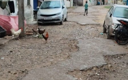 पोखरा आवास रोड पर जगह-जगह गड्ढे:महराजगंज में स्थानीय लोगों ने मरम्मत की मांग की