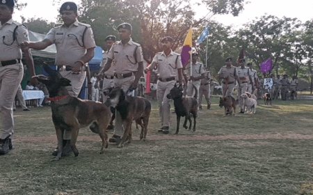 'मैक्स ने खोला ब्लाइंड मर्डर, कैसर ने पकड़ा बारूद:झांसी RPF के DOG MEET में पहुंचे 70 डॉग, आज हुनर दिखाएंगे