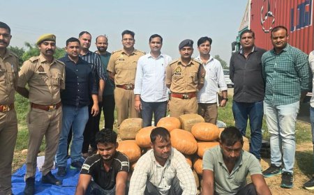 मथुरा में कंटेनर से 250 किलो गांजा बरामद:1.25 करोड़ रुपये कीमत का गांजा ओडिशा से ला रहे थे तीन तस्कर, गिरफ्तार