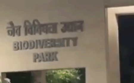 नोएडा डियर पार्क के 12 बाड़ों में लगेंगे 3490 पेड़:नर्सरी में 18 से 20 फीट के किए जाएंगे, इसके बाद डियर पार्क में करेंगे ट्रांसप्लांट