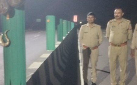 हरदोई में आधी रात हाईवे पर निकला अजगर:वन विभाग की टीम ने किया रेस्क्यू, प्राकृतिक आवास में छोड़ा