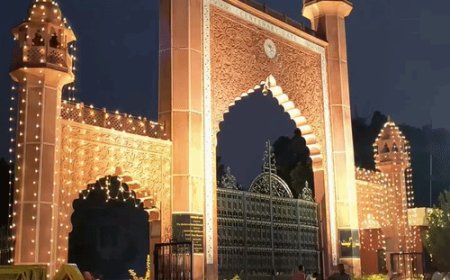 दुल्हन की तरह सजा AMU, कल मनेगा सर सैयद डे:गुलिस्तान-ए-सैयद में सुबह 10:45 बजे मुख्य समारोह, यूट्यूब पर होगा लाइव प्रसारण; रात तक हॉस्टलों में डिनर और जश्न