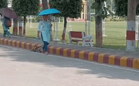 सुबह हल्की ठंडक, दिन में धूप बढ़ाएगी गर्मी:उत्तर-पश्चिमी शुष्क हवाओं से घटेगी नमी, रात का मौसम होगा ठंडा