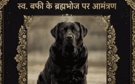 गोरखपुर में लेब्राडोर डॉग की मौत पर खूब रोया परिवार:2 अक्टूबर को मौत हुई, ब्रह्मभोज का कार्ड छपवाया, 13वें दिन की तेरहवीं