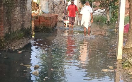 महराजगंज की दलित बस्ती में जलभराव से दिक्कतें:सड़क पर पानी जमा होने से आवागमन मुश्किल, बीमारी का डर