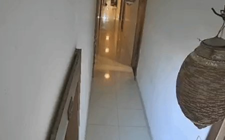 होटल में बैंक मैनेजर की पत्नी की मौत का CCTV:झांसी में चेकआउट के समय रूम में खड़े-खड़े गिरी, 4 महीने पहले शादी हुई थी