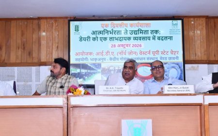 डेयरी व्यवसाय को लाभदायक बनाने के उपाय बताए:मेरठ में कार्यशाला; संतुलित आहार, नस्ल सुधार और लागत प्रबंधन पर जोर