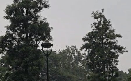 कई दिन की गर्मी के बाद बारिश से बदला मौसम:अलीगढ़ में सर्दी का एहसास; धान भीगने से किसानों की बढ़ी चिंता, धनीपुर मंडी में खुले में रखा धान बचाने को दौड़े किसान-आढ़ती