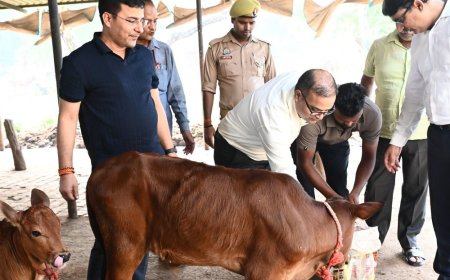 काशी विश्वनाथ न्यास ने हनुमान मंदिर का निरीक्षण किया:गौशाला में सुविधाओं, व्यवस्थाओं की समीक्षा कर अधिकारियों को दिए निर्देश