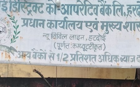 हरदोई में केसीसी-लोन में 2.98 करोड़ रुपए का एनपीए मिला:जिला सहकारी बैंक के 13 कर्मचारी जांच में दोषी; 5 मैनेजर और एक कैशियर निलंबित