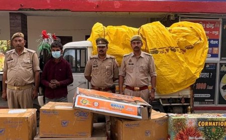 हापुड़ में पटाखों की खेप पकड़ी:पंजाब से मुरादाबाद ले जा रहे थे, 3.5 लाख के आठ कार्टून मिले, ऑटो चालक गिरफ्तार