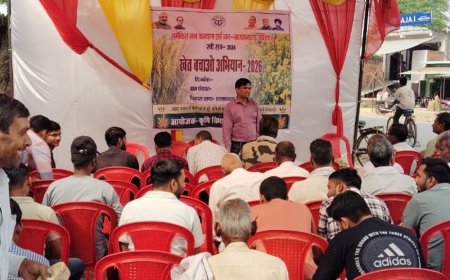 औरैया में किसानों को खेती के तरीके बताए जा रहे:खेत बचाओ अभियान के तहत 30 नवंबर तक 49 कार्यक्रम होंगे