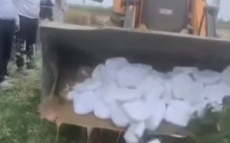 संभल में 3 क्विंटल मिलावटी पनीर नष्ट किया:भारत डेरी से नमूना लिया, संचालक को नोटिस जारी