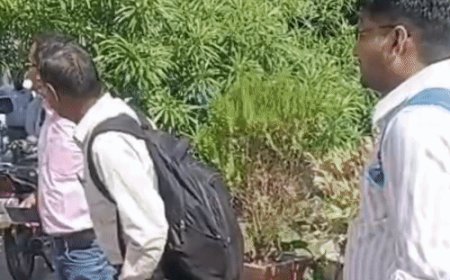 एमएलसी चुनाव के लिए पोलिंग पार्टियां रवाना:बरेली-मुरादाबाद खंड शिक्षक निर्वाचन कल, सुबह 8 से शाम 4 बजे तक होगा मतदान