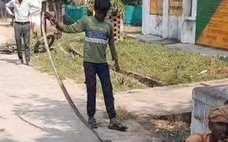 महोबा में सीएचसी में 6 फीट का सांप निकला:सपेरे ने पकड़कर जंगल में छोड़ा, अधीक्षक बोले- नाली चोक होने से परिसर में गंदगी