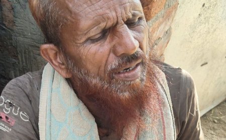 गर्भवती बहू की हत्या में ससुर हिरासत में:8 महीने की प्रेग्नेंट थी, ससुर बोला- साहब, गुस्सा आ गया था, अब क्या करें