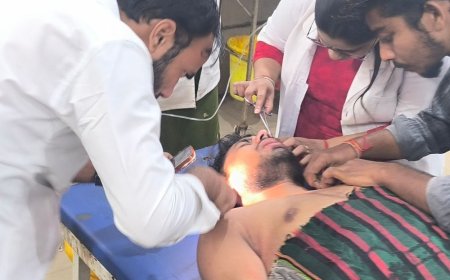 उदयपुर में मधुमक्खियों के हमले में मैनपुरी का युवक घायल:खेत में चारा लेने गया था; छत्ता टूटकर गिरा, कान से निकलीं जिंदा मधुमक्खियां