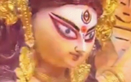 प्रयागराज में दुर्गा पंडालों की धूम...VIDEO:नागलोक,मीनाक्षी मंदिर से डिज्नीलैंड तक, अनोखी थीमों पर सजे पंडाल
