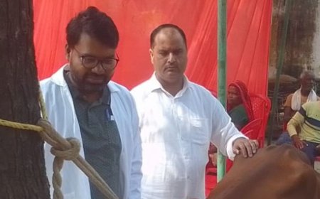 अम्बेडकरनगर में पशु आरोग्य मेले में 256 पशुओं का इलाज:पशुपालकों को मुफ्त दवाएं और योजनाओं की जानकारी दी गई