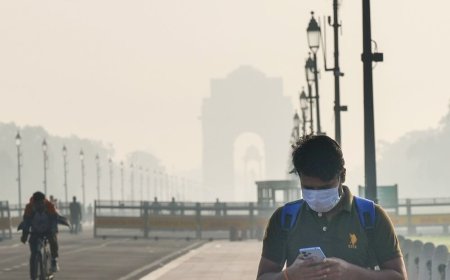 वायु प्रदूषण कम करने के लिए ₹13 हजार करोड़ मिले:68% रोड की धूल हटाने पर खर्च; 2023 में प्रदूषण से 20 लाख मौतें हुईं