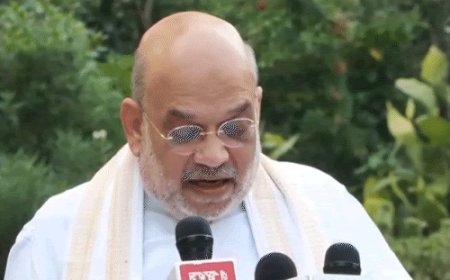 शाह बोले- राहुल SIR के बहाने घुसपैठियों को बचा रहे:2029 में लगातार चौथी बार उनकी हार होगी; INDIA ब्लॉक के प्रदर्शन के बीच पहला बयान