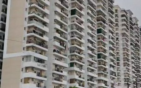 नोएडा में BBA का छात्र 19वीं मंजिल से गिरा, मौत:एक्टर बनना चाहता था, प्रिस्टीन एवेन्यू सोसायटी में रहकर पढ़ रहा था