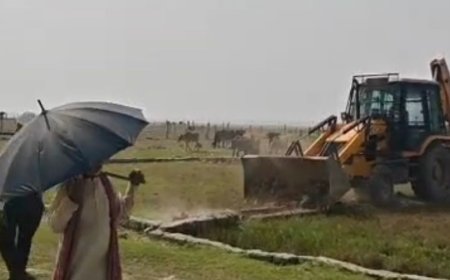 प्रयागराज में PDA ने 26 बीघे में अवैध प्लॉटिंग गिराई:जोन-5 के पांच इलाकों में चला बुलडोजर, अवैध कॉलोनियों पर कार्रवाई जारी रहेगी