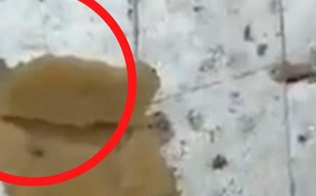 गाजियाबाद में काजू बर्फी में ब्लेड निकलने की वीडियो वायरल:ब्लेड का आधा टुकड़ा मिठाई से चिपका मिला, ग्राहक की शिकायत पर दुकानदार ने माफी मांगी