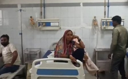 कुत्तों ने दादी-पोते समेत चार लोगों पर हमला किया:बहराइच के दो गांवों में  हुई घटना, सभी जिला अस्पताल में भर्ती