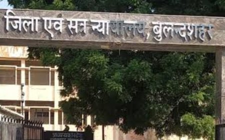 बुलंदशहर में बहन की हत्या के दोषी भाई को उम्रकैद:शव ठिकाने लगाने में मदद करने वाले दूसरे भाई को 5 साल की सजा