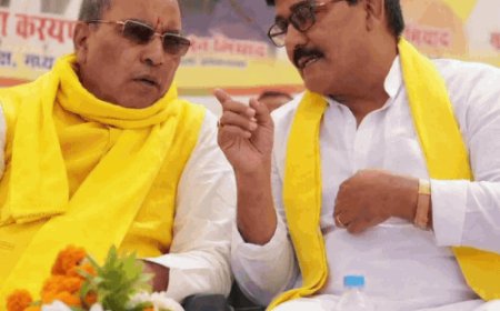 हाथी के उत्पात के बाद मलिक ने बंद किया मोबाइल:आजमगढ़ के दीदारगंज विधानसभा से 2027 में कर रहे हैं दावेदारी, 5 वर्षों से पाले हैं हाथी