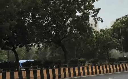 नोएडा में बारिश का यलो अलर्ट:आसमान में छाए है बादल, 31 डिग्री तापमान, 40 किमी प्रतिघंटा तक चलेंगी हवा