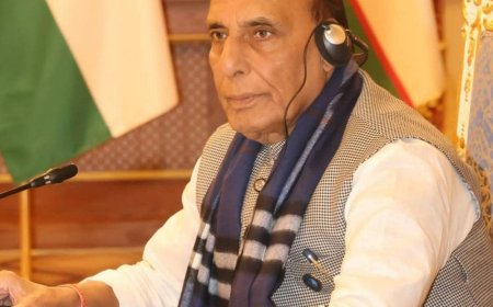इशाक डार के सामने राजनाथ सिंह ने आतंकवाद पर घेरा:कहा- आतंकियों को पनाह देने वालों के खिलाफ एकजुट हों, चीन पर भी निशाना