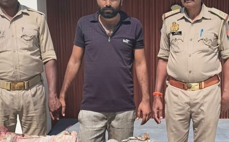 काजू के छिलकों की आड़ में हो रही थी तस्करी:सोनभद्र में 30.25 लाख का गांजा बरामद, तस्कर गिरफ्तार
