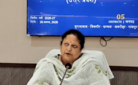 लेखपाल ने खुद ही कर ली अपने खिलाफ बैठी जांच:सरकारी जमीन पर कब्जा कराने के आरोप में मुरादाबाद कमिश्नर ने दिए थे जांच के आदेश