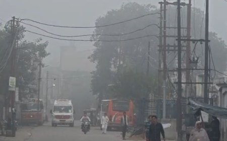 संभल में बारिश के बाद कोहरा छाया, विजिबिलिटी 150 मीटर:पारा गिरकर 27 डिग्री तक पहुंचा, अस्पतालों में मरीज बढ़े