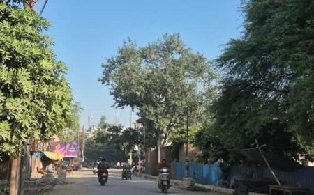 अलीगढ़ में गुलाबी ठंड की दस्तक, सुबह ओस का नजारा:रात में कूलर-पंखे बंद; रात से सुबह तक ठंडी हवाएं, दिन में दोपहर तक गर्मी का हल्का अहसास