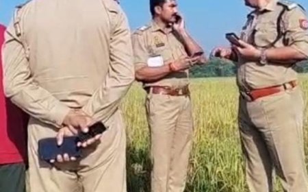 अम्बेडकरनगर में खेत पर गए दंपती के शव मिले:महिला के पैर में जंगली जानवर के हमले के निशान, खेत में सिंचाई करने गए थे