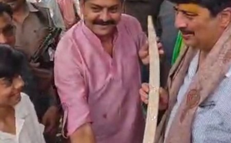 बेंती में धूमधाम से मना राजा भैया का 57वां जन्मदिन:समर्थकों का लगा जमावड़ा, केक काटा; सरदार पटेल के चित्र पर किया माल्यार्पण