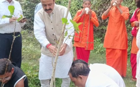 नैमिषारण्य 84 कोसी परिक्रमा मार्ग पर हरिशंकरी पौधारोपण अभियान शुरू:हरदोई में नैमिष धाम के परिक्रमा मार्ग पर 25 पड़ावों पर रोपे गए पीपल,बरगद और पाकर के पौधे